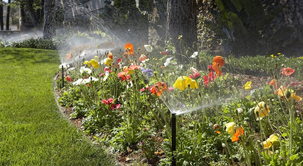 Wasser Marsch Automatisch Rasen Und Beete Im Garten Mit Feuchtigkeit Versorgen Osterholzer Anzeiger