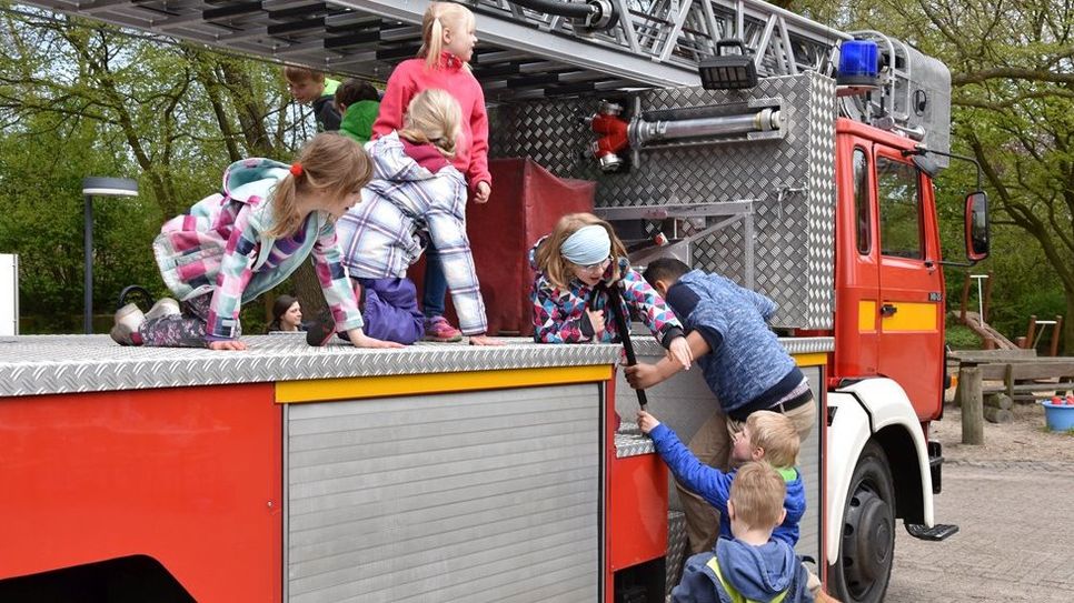 Den ganzen Tag ist für viel Bewegung gesorgt. An den verschiedenen Attraktionen können die Kids sich nach Herzenslust austoben. Foto: eb