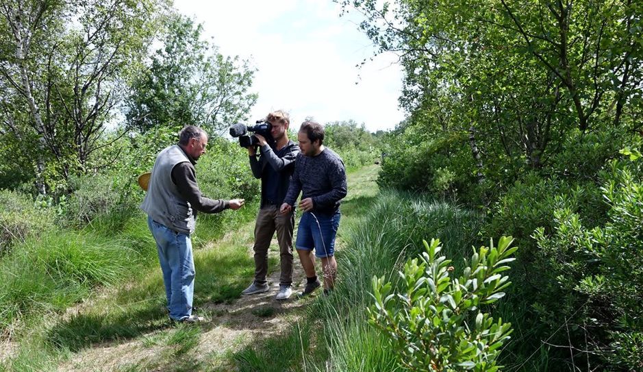 Moor zum Anfassen.  Klaus Hinze nahm Kameramann Lars Tolis und RTL-Nordmoderator Jan Bockemüller auf den Naturerlebnispfad im „Großen Moor“ bei Bokel mit. Sehr zu bedauern der beiden Fernsehleute gab es keine schaurigen Moorgeschichten. Foto: khe