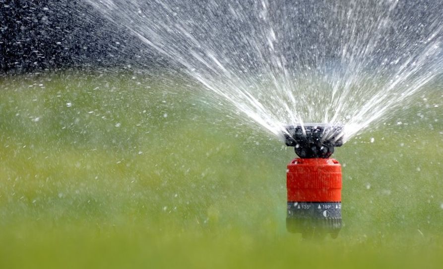 Ein Rasensprenger verbraucht bis zu 800 Liter je Stunde. Der verantwortungsvolle Umgang mit Wasser ist nicht nur in heißen Sommerzeiten notwendig.  Foto: Adobe Stock/Gerhard Seybert