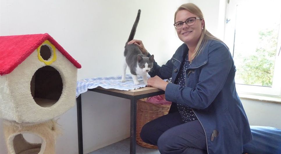 Laura Tolle vom Verein Tiere in Not e. V. sucht für die hübsche Sina ein neues Zuhause. Derzeit leben 40 Katzen in der Tierauffangstation, die gern neue Besitzer hätten.  Foto: hc