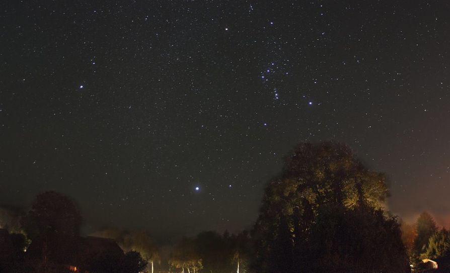 Aufgang des Orion im Herbst.   Foto: Gerald Willems