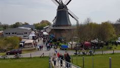 Der gesamte Erlös des Bauernmarktes wird zum Erhalt der Windmühle verwendet.  Foto: eb