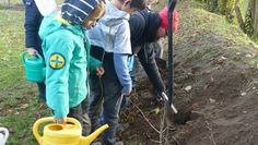 Die Schülerinnen und Schüler der Grundschule Worpswede halfen fleißig beim Einpflanzen und Angießen der 150 Jungpflanzen.  Foto: eb