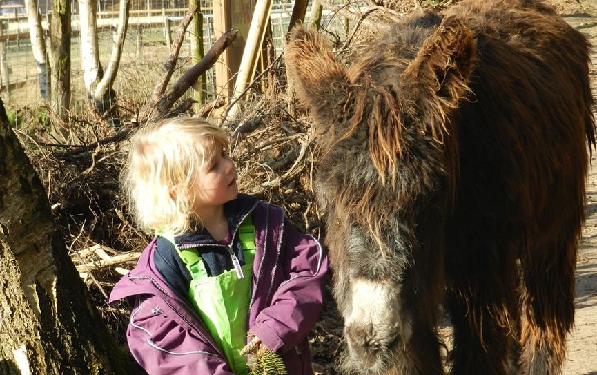 Tiere hautnah im Tierpark Cux-Art. Foto: eb