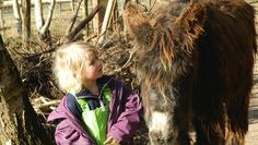 Tiere hautnah im Tierpark Cux-Art. Foto: eb