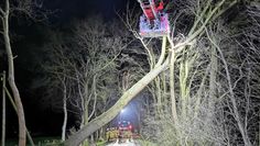 Einsatz in hoher Luft: Nur mit einer Drehleiter konnten die Feuerwehrkräfte den umgestürzten Baum von der Neuenfelder Straße räumen. Seine Krone verfing sich in einem anderen Baum.  Foto: eb