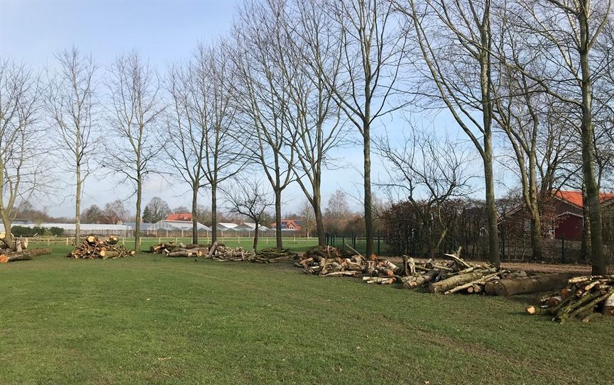 In Selsingen sind 20 Stapel Mischholz gegen Höchstgebot zu verkaufen.  Foto: eb