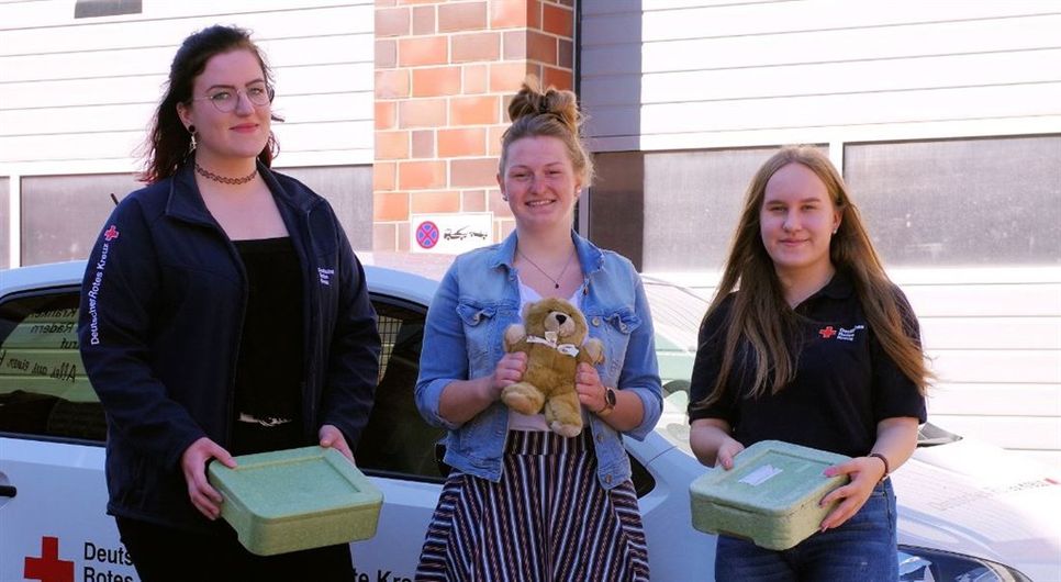 Sie haben sich ein Jahr zum Bundesfreiwilligendienst beim DRK gemeldet: Wenke Peper, Stefanie Nolte und Malin-Sophie Kölpin. Foto: lse