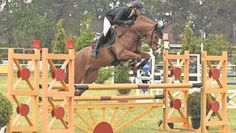 Springen auf höchstem Niveau: Im vergangenen Jahr konnten bis zu 3.000 Zuschauer*innen an vier Tagen in Pennigbüttel spannenden Reitsport erleben. In diesem Jahr muss das Pfingstturnier leider ausfallen.  Foto: Fotografie Detlefsen