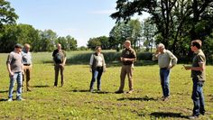 In der Gyhumer Feldmark hat der Landwirt Martin Grube (von links) eine spezielle Blühmischung für den Insektenschutz eingesät. Der Vorsitzende der Jägerschaft Bremervörde Arno Schröder, Kreisjägermeister Dr. Hermann Gerken, Vorsitzende der Jägerschaft Zeven Behlke Mohrmann, CDU-Landtagsabgeordneter Dr. Marco Mohrmann, Vorsitzender der Jägerschaft Rotenburg Ulrich Voss und Naturschutzobmann Mathias Holsten zeigten sich von der neu angelegten Blühfläche sehr angetan.                                                 Foto: Jägerschaft/Harms