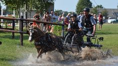 Hindernisfahren mit Wasserloch auf einer 3 Kilometer langen Geländestrecke ist eine der Wettkampfdisziplinen beim diesjährigen Fahrturnier des Reitvereins Kuhstedt am 30. August.   Foto: eb