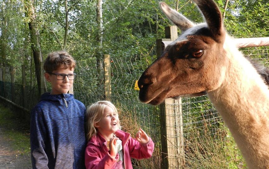 Hautnah an den Tieren im Tierpark Cux-Art.  Foto: eb