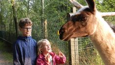 Hautnah an den Tieren im Tierpark Cux-Art.  Foto: eb