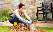 Abgefallene Blätter von Bäumen sollten vor dem Winter entsorgt werden, um dem Rasen genug Luft zu lassen. Foto: djd/EUROGREEN/CandyBox Images - stock.adobe.com