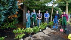 Neue Rhododendronhecke wird zum Blickfang dank der fleißigen Helfer (v.l.n.r.) Dieter Brinkmann, Klaus-Dieter Hildebrandt, Ortsvorsteher Wilfried Windhorst, Jakob Diring, Kurt Götjen und Hans-Artur Pott.  Foto: khe