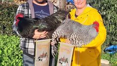 Sascha und Catrin Brinkmann vom Geflügelzuchtverein Gnarrenburg mit ihren ausgzeichneten Hühnern.  Foto: eb