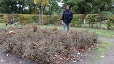 Erika Thielbar-Schröder wünscht sich, dass der Urnengarten auf dem Worpsweder Friedhof schöner gestaltet wird.  Foto: akl