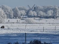 Die Worpsweder Mühle im Eisgewand. Foto: V. Viohl