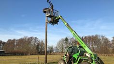 Das Storchennest wurde kürzlich für die nächste Brutsaison gesäubert.  Foto: Hans-Helmut Pein