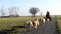 Francesca Renken hatte eine tolle Fahrt auf dem Husky-Cart.  Fotos: eb