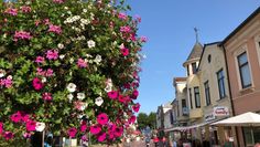 Möglichst viele Blumenampeln sollen auch in diesem Jahr die Innenstadt verschönern. Einen Teil finanziert die Stadtverwaltung, weitere Pflanzen werden von Bürger:innen gespendet.  Foto: eb