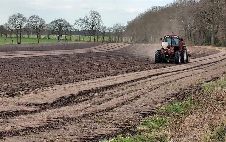 Jetzt muss sie nur noch wachsen: Auf einer Fläche am Ortsausgang entsteht die Garlstedter Blühwiese.  Foto: eb