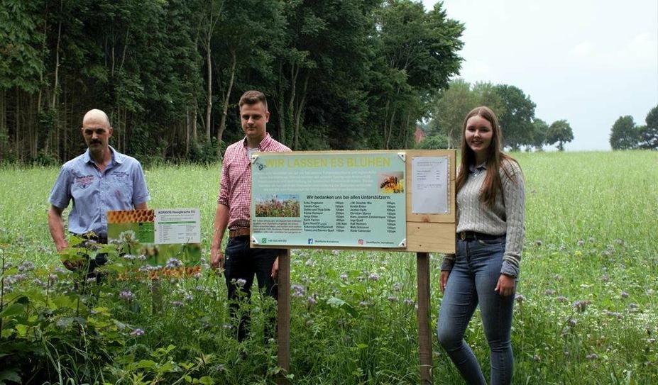 Mia Schmidt (v. re.), Jonas und Christoph Kornahrens lassen es auf ihrem Acker „Über der Lune“ in Kirchwistedt ordentlich blühen.