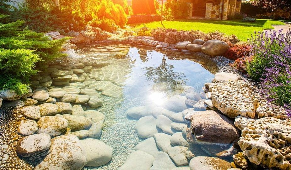 Ein Gartenteich ist eine schöne Naturoase, an der sich herrlich entspannen lässt.