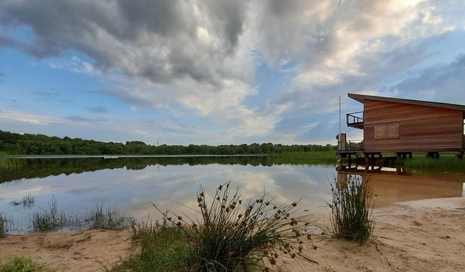 Im Silbersee in Wehdel (Landkreis Cuxhaven) im Naturschutzgebiet Laaschenmoor kann man kostenlos baden.