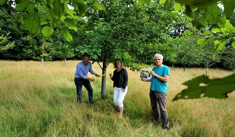 Bürgermeister Guido Dieckmann (v. li.), Claudia Lühmann (Erste Gemeinderätin) und Martin Borgwart (Verwaltung) haben die ersten Obstbäume mit dem „Gelben Band“ gekennzeichnet.