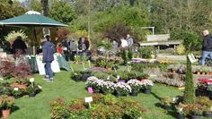 Allerlei zu bestaunen gibt es am 2. und 3. Oktober im Park der Gärten.