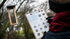 Immer mehr Menschen beteiligen sich an der Vogelzähl-Aktion des NABU.