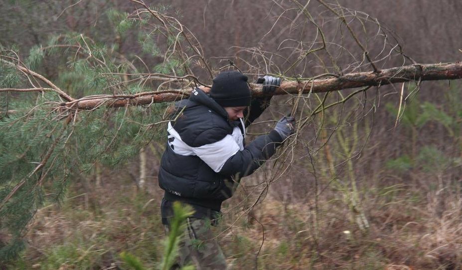 Klein, groß, dick, dünn: Durstige Bäume haben im Moor nichts zu suchen. Der NABU bekam beim Entkusseln erneut Unterstützung von der KGS Hambergen.