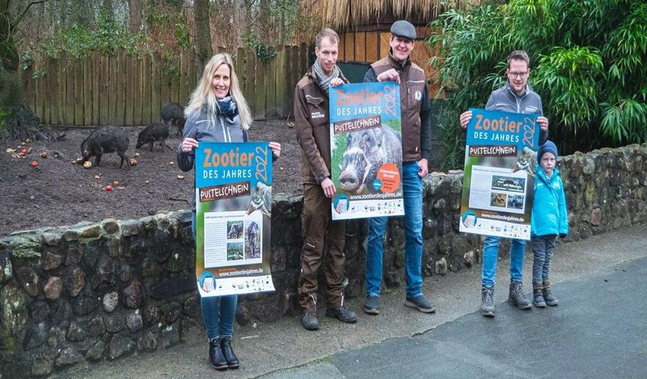 Vor dem Schweinegehege machen die Fördervereinsmitglieder Maaike Hoop und Torben Klöfkorn (re. mit Sohn Joris) sowie Obertierpfleger Michael Geyer (2. v. li.) und Zoodirektor Dr. Pierre Grothmann auf die bedrohten Tiere aufmerksam.