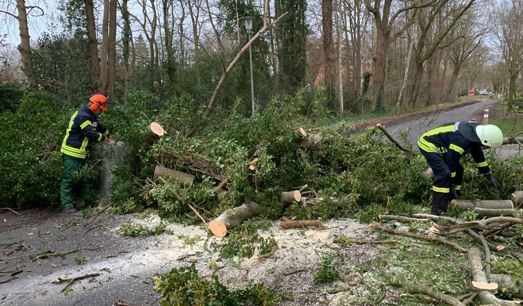 Sturmtief „Nadia“ raffte am vergangenen Wochenende einige Bäume dahin. Wo diese auf Straßen oder Gleisen landeten, waren die Einsatzkräfte der Feuerwehr gefragt. Foto: ffohz.de