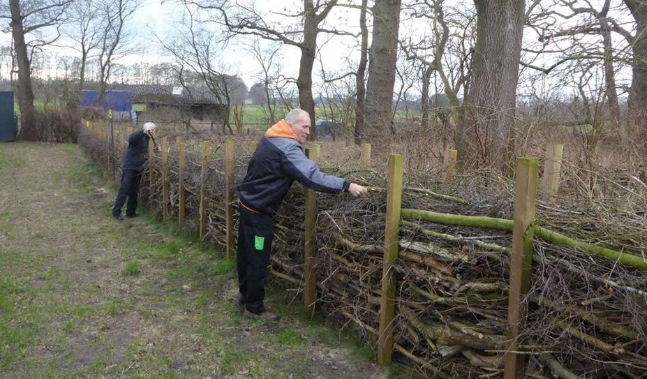 Totholz kommt in die Hecke: Die Bühnenbauer der Freilichtbühne wollen ökologisch und nachhaltig arbeiten. Foto: eb