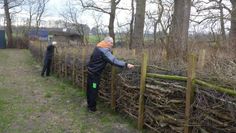 Totholz kommt in die Hecke: Die Bühnenbauer der Freilichtbühne wollen ökologisch und nachhaltig arbeiten. Foto: eb