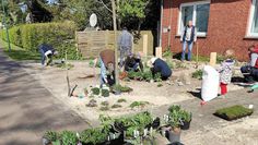 Der Vorgarten am Stubbener Dorfzentrum soll eine Tankstelle für Insekten werden.