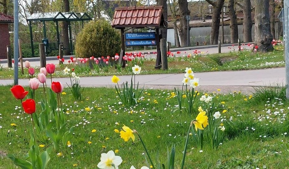 Die Wählergemeinschaft sucht weitere Flächen für Pflanzaktionen.