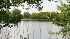 Am Vörder See ist Grillen nur in der dafür vorgesehenen Grillstation erlaubt.