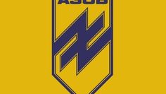 Das Logo des Asow-Regiments spielt auf die Wolfsangel an, die zu Zeiten des Nationalsozialismus unter anderem von der SS als Symbol genutzt wurde.