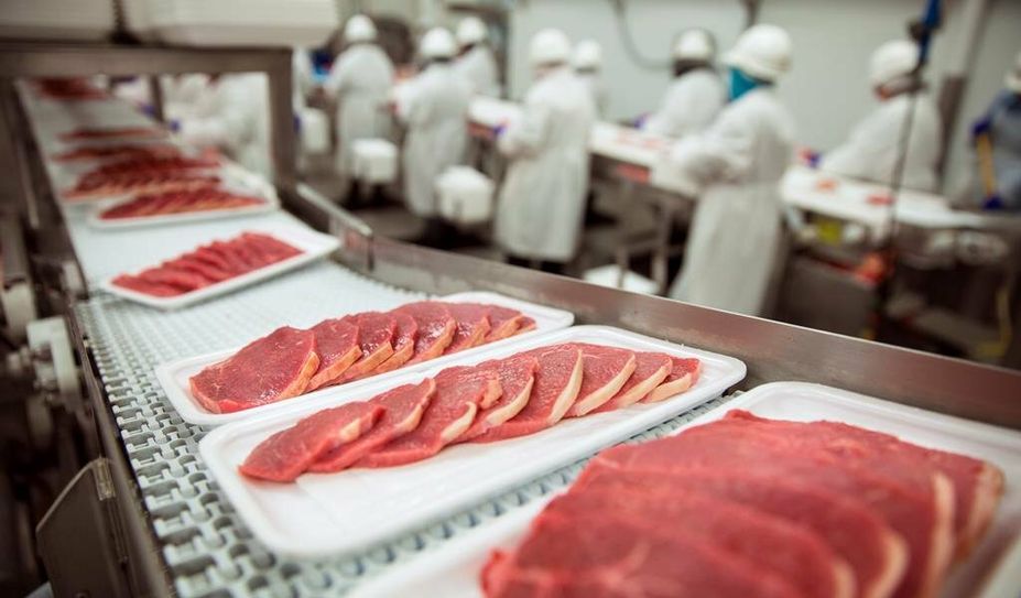 Der menschliche Fleischverzehr in Deutschland ist mit einem Pro-Kopf-Verbrauch im Jahr 2021 von 81,7 Kilogramm rund doppelt so hoch wie der Verzehr von Fleisch im Weltdurchschnitt.