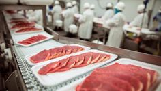 Der menschliche Fleischverzehr in Deutschland ist mit einem Pro-Kopf-Verbrauch im Jahr 2021 von 81,7 Kilogramm rund doppelt so hoch wie der Verzehr von Fleisch im Weltdurchschnitt.