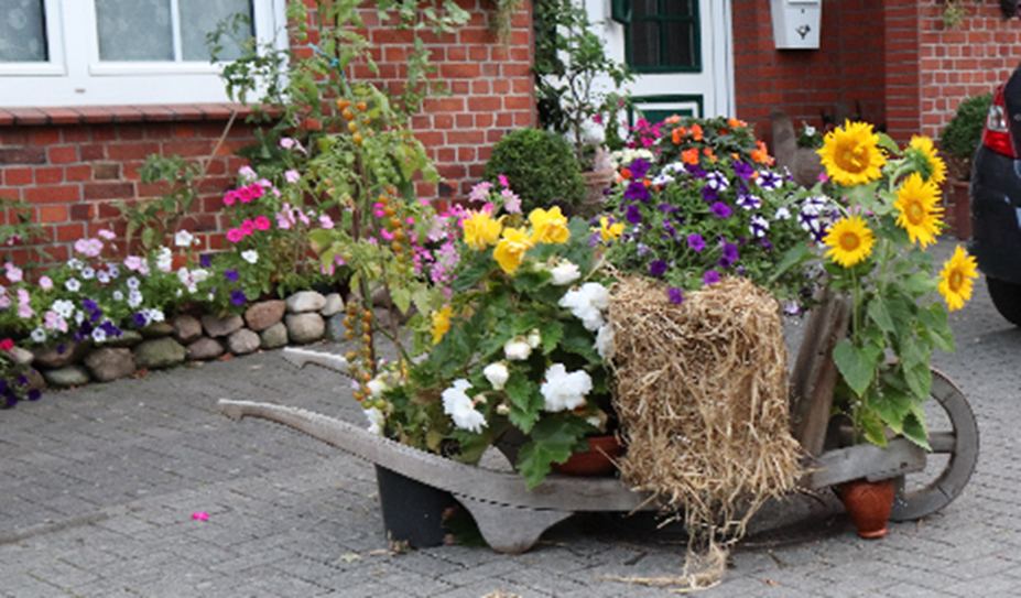 Zum Erntefest findet man überall in Hambergen schönsten Festschmuck, liebevoll gestaltet und sichtbar zur Freude aller platziert. Foto: eb