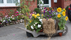 Zum Erntefest findet man überall in Hambergen schönsten Festschmuck, liebevoll gestaltet und sichtbar zur Freude aller platziert. Foto: eb