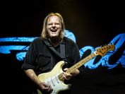 Foto des Blues-Gitarristen Walter Trout