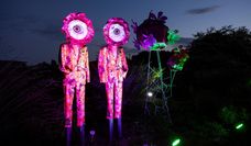 Die Illumination ist ein atmosphärisches Gesamterlebnis, das Natur, Licht und Kunst auf besondere Weise vereint.