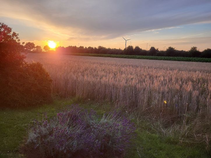 Jennifer Lang bringt Harfenmusik nach Neuenkirchen.