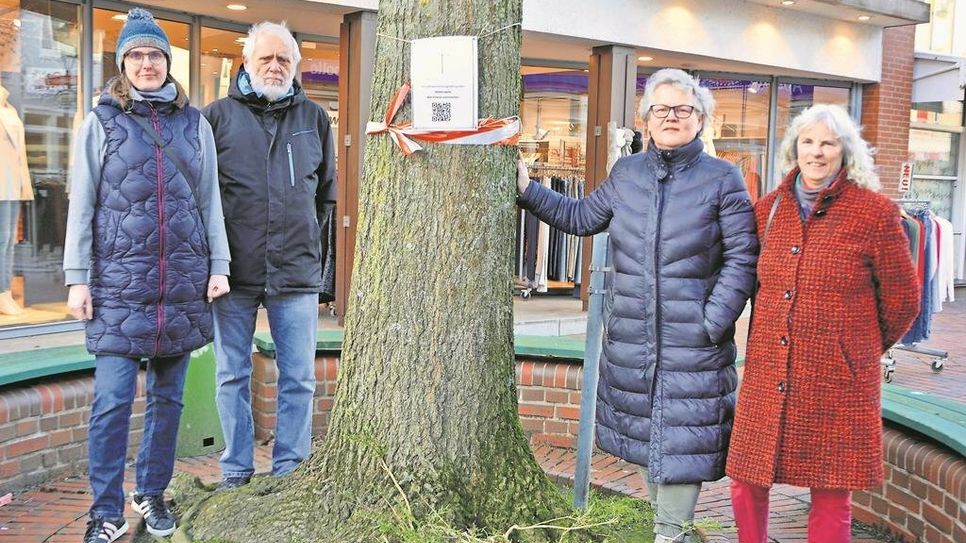 Kritisieren die Fällung der Bäume in der Brunnenstraße: Jana Basilon (v. li.), Rolf Hüchting, Marion Kaiser und Petra Fischer.